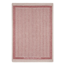 Load image into Gallery viewer, IRIS